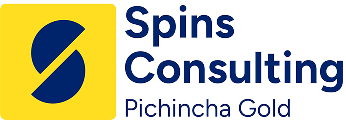 Spins Consulting